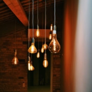A selection of decorative lightbulbs.